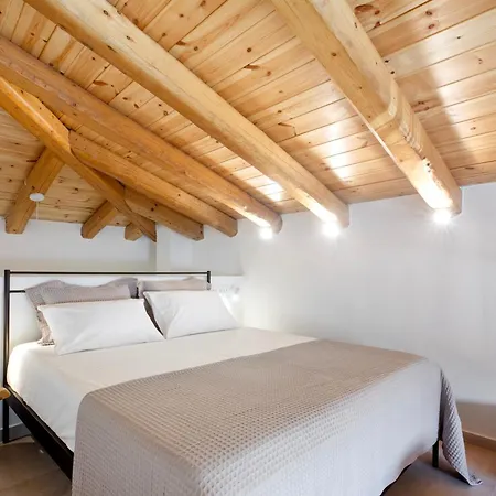 شقة Olive Dryopis