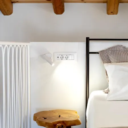 Olive Dryopis كيثنوس