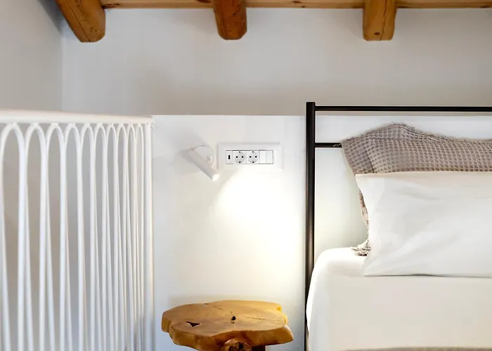 Olive Dryopis كيثنوس