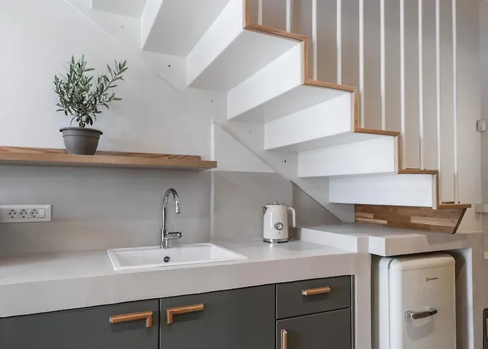 Olive Dryopis Kythnos