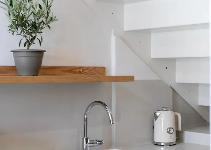 Olive Dryopis كيثنوس